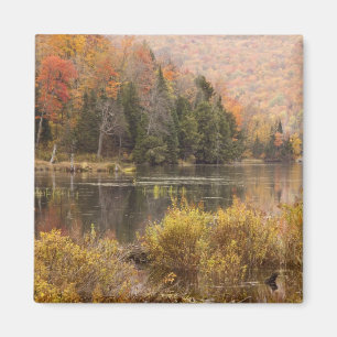 Herbstlandschaft mit See, Vermont, USA 3 Magnet