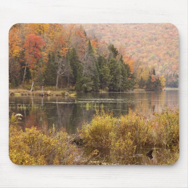 Herbstlandschaft mit See, Vermont, USA 3 Mousepad (Vorne)