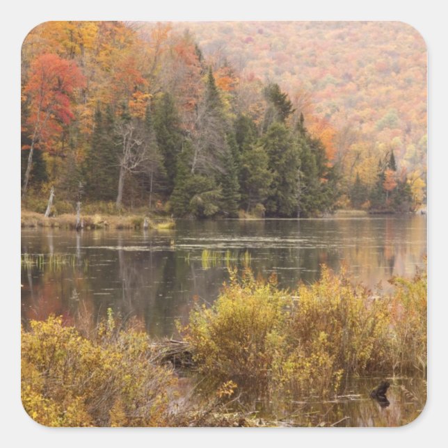 Herbstlandschaft mit See, Vermont, USA 3 Quadratischer Aufkleber (Vorderseite)