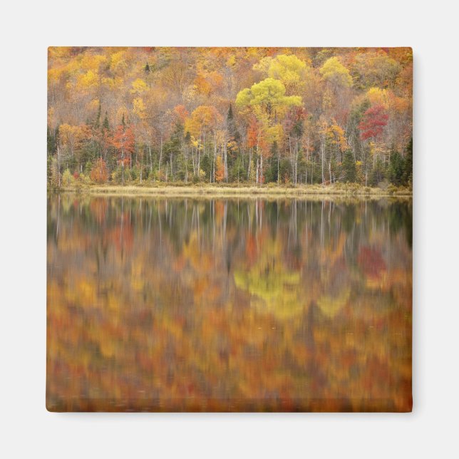 Herbstlandschaft mit See, Vermont, USA Magnet (Vorne)