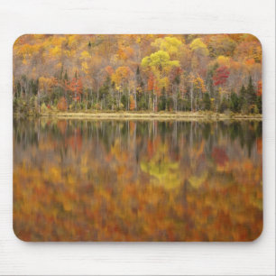 Herbstlandschaft mit See, Vermont, USA Mousepad