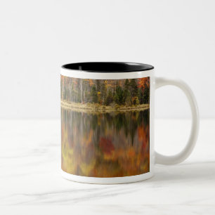 Herbstlandschaft mit See, Vermont, USA Zweifarbige Tasse