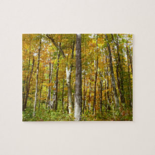 Herbstlandschaft mit Wald aus gelben Blättern