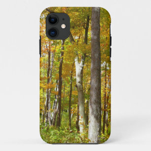 Herbstlandschaft mit Wald aus gelben Blättern title_seo2