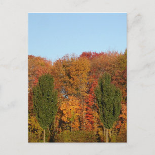 Herbstlandschaft Postkarte