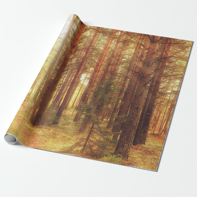 Herbstlandschaft, Sonnenstrahlen in den Vororten Geschenkpapier (Ungerollt)