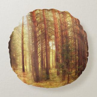 Herbstlandschaft, Sonnenstrahlen in den Vororten Rundes Kissen