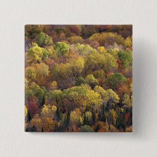 Herbstlandschaft, Vermont, USA 2 Button