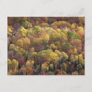 Herbstlandschaft, Vermont, USA 2 Postkarte