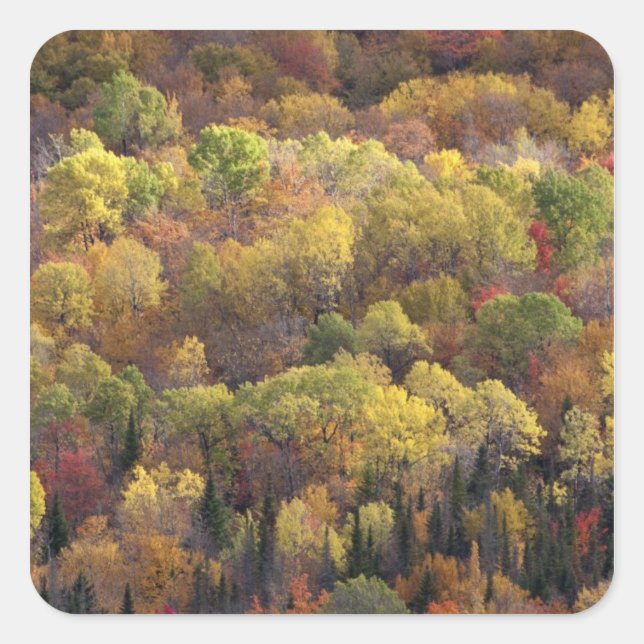 Herbstlandschaft, Vermont, USA 2 Quadratischer Aufkleber (Vorderseite)