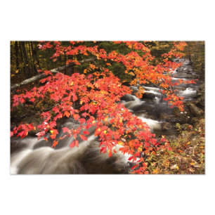 Herbstlandschaft, Vermont, USA 4 Fotodruck