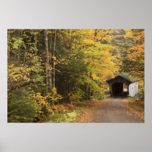 Herbstlandschaft, Vermont, USA 4 Poster