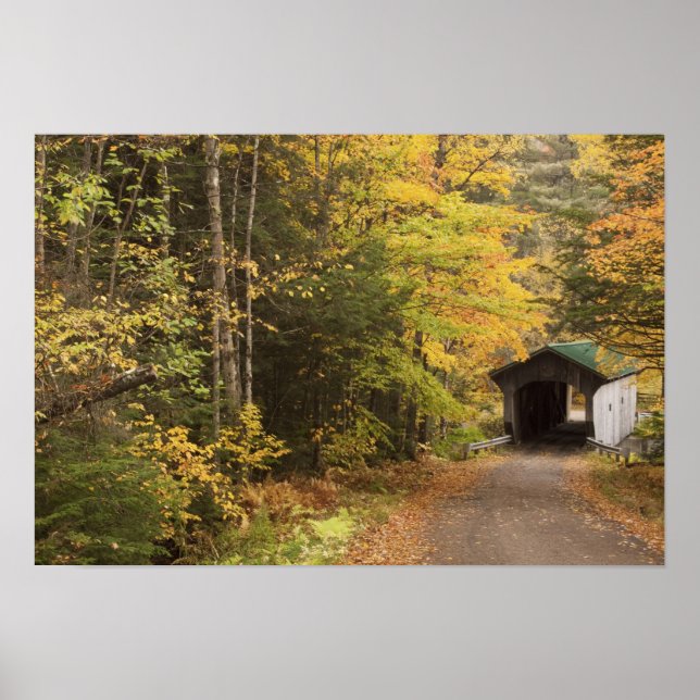 Herbstlandschaft, Vermont, USA 4 Poster (Vorne)