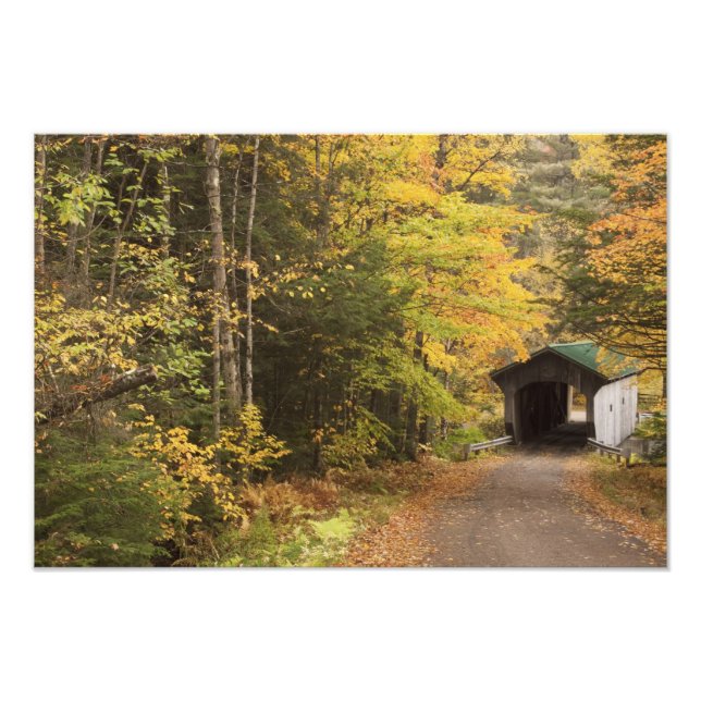 Herbstlandschaft, Vermont, USA Fotodruck (Vorne)