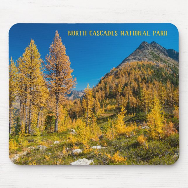 HerbstLarven bei Easy Pass Washington Mousepad (Vorne)