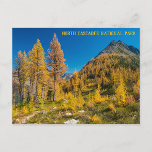 HerbstLarven bei Easy Pass Washington Postkarte