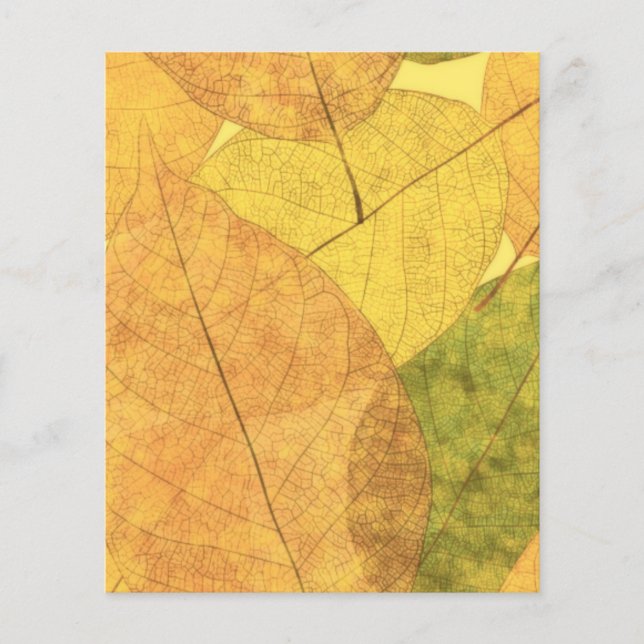 Herbstlaub (Vorderseite)