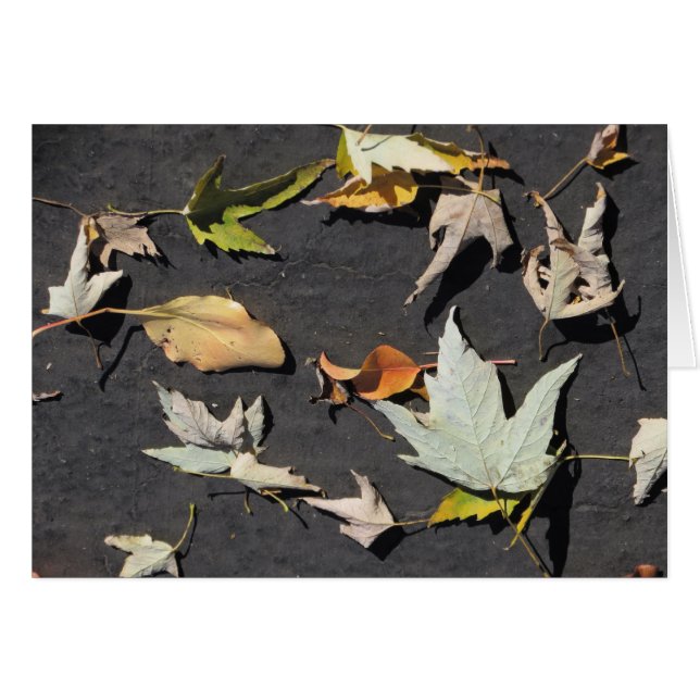 Herbstlaub 1 (Vorderseite (Horizontal))