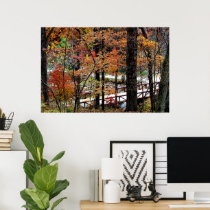 Herbstlaub an Bäumen in Arkansas Wertplakat Poster