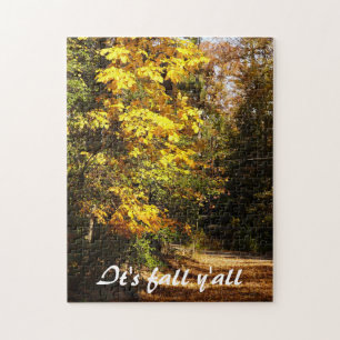 Herbstlaub auf Landstraße