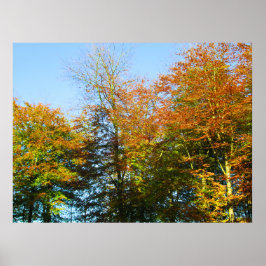 Herbstlaub & Blauer Himmel - Personalisiert Poster