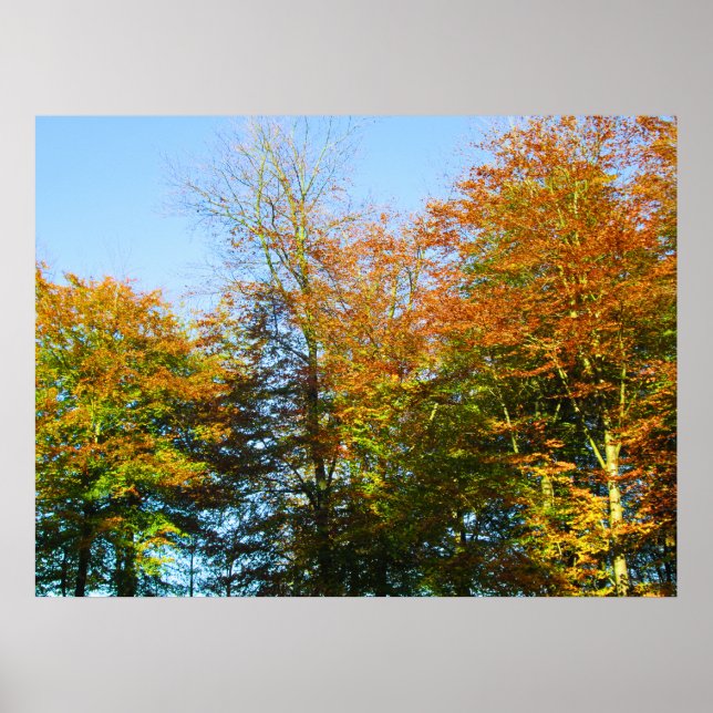 Herbstlaub & Blauer Himmel - Personalisiert Poster (Vorne)