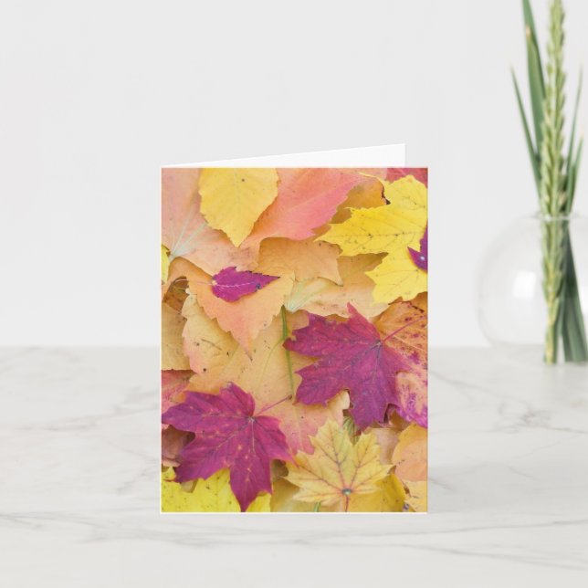 Herbstlaub Design Karte (Vorderseite)