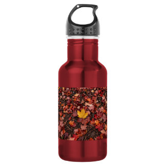 Herbstlaub  edelstahlflasche
