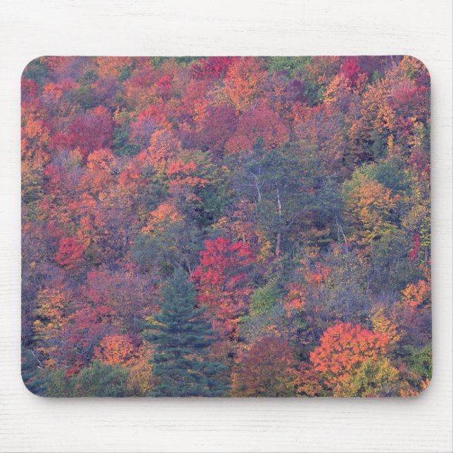 Herbstlaub eines Mischhartholzwaldes Mousepad (Vorne)