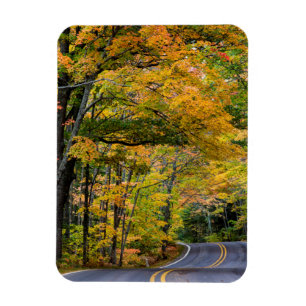 Herbstlaub entlang des Highway 41 Magnet