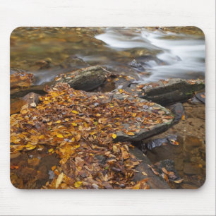 Herbstlaub entlang des Looking Glass Creek in der Mousepad