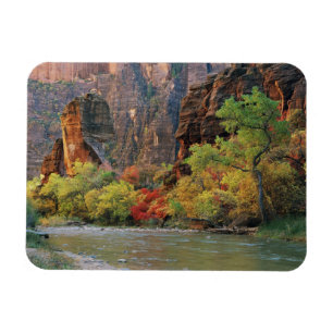 Herbstlaub entlang des Virgin River nahe dem Einga Magnet