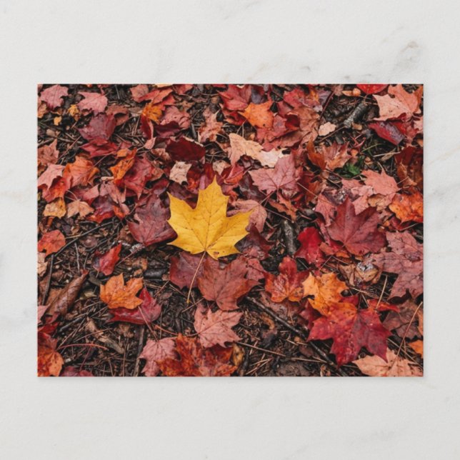 Herbstlaub  feiertagspostkarte (Vorderseite)