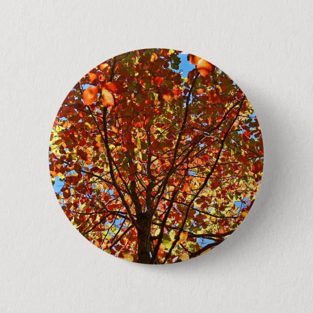 Herbstlaub-Feuerwerk Button (Vorderseite)