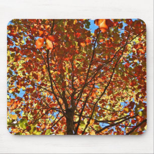 Herbstlaub-Feuerwerk Mousepad