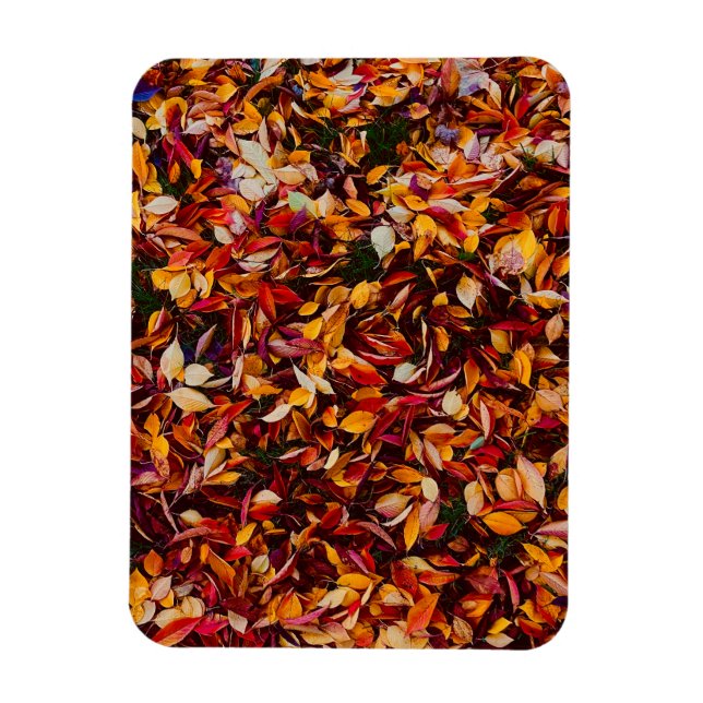 Herbstlaub-Foto Magnet (Vertikal)