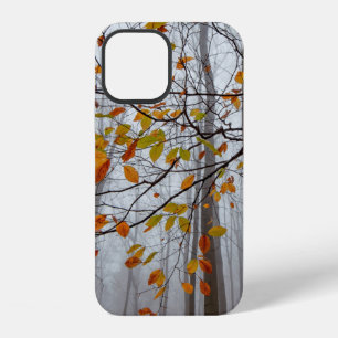 Herbstlaub gefallener Wald Blatt iPhone 12 Hülle