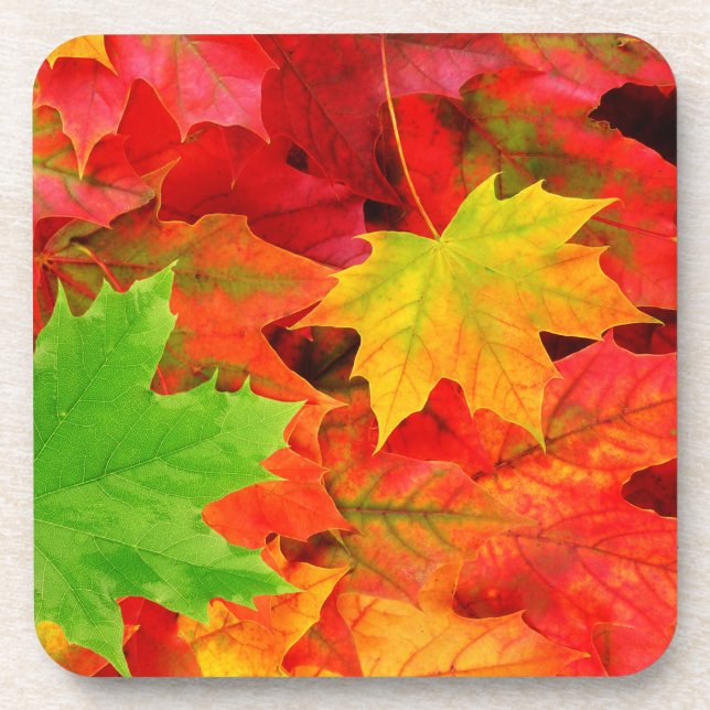 Herbstlaub Getränkeuntersetzer (Vorderseite)