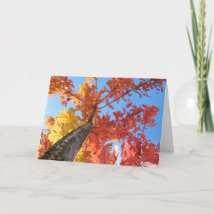 Herbstlaub Grußkarten Bunte Herbstbaum Karte