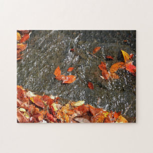 Herbstlaub im Wasserfall I Herbstfotografie