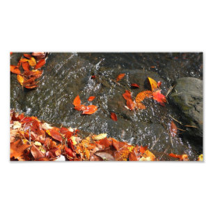 Herbstlaub im Wasserfall I Herbstfotografie Fotodruck