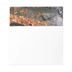Herbstlaub im Wasserfall I Herbstfotografie Notizblock