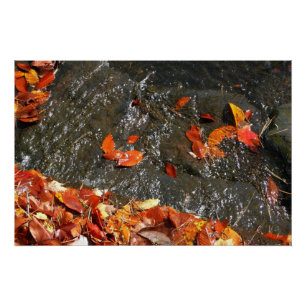 Herbstlaub im Wasserfall I Herbstfotografie Poster