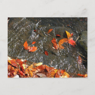Herbstlaub im Wasserfall I Herbstfotografie Postkarte