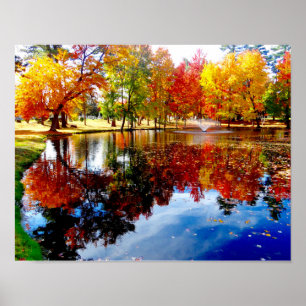 Herbstlaub in dem Teich Poster