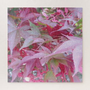 Herbstlaub in Rosa und Schwarz
