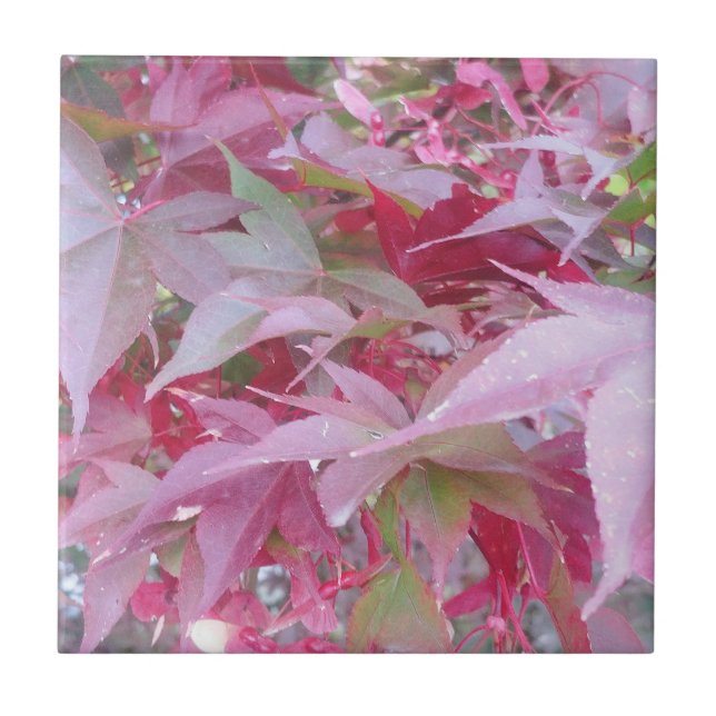 Herbstlaub in Rosa und Schwarz Fliese (Vorderseite)