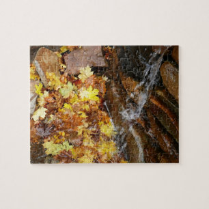 Herbstlaub in Wasserfall III Herbst Natur