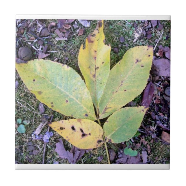 Herbstlaub Keramik Tile Fliese (Vorderseite)