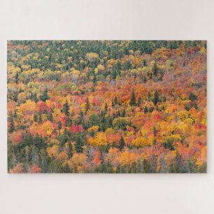 Herbstlaub   Keweenaw-Halbinsel, Michigan